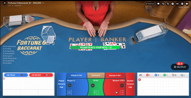 Provider screenshot 2